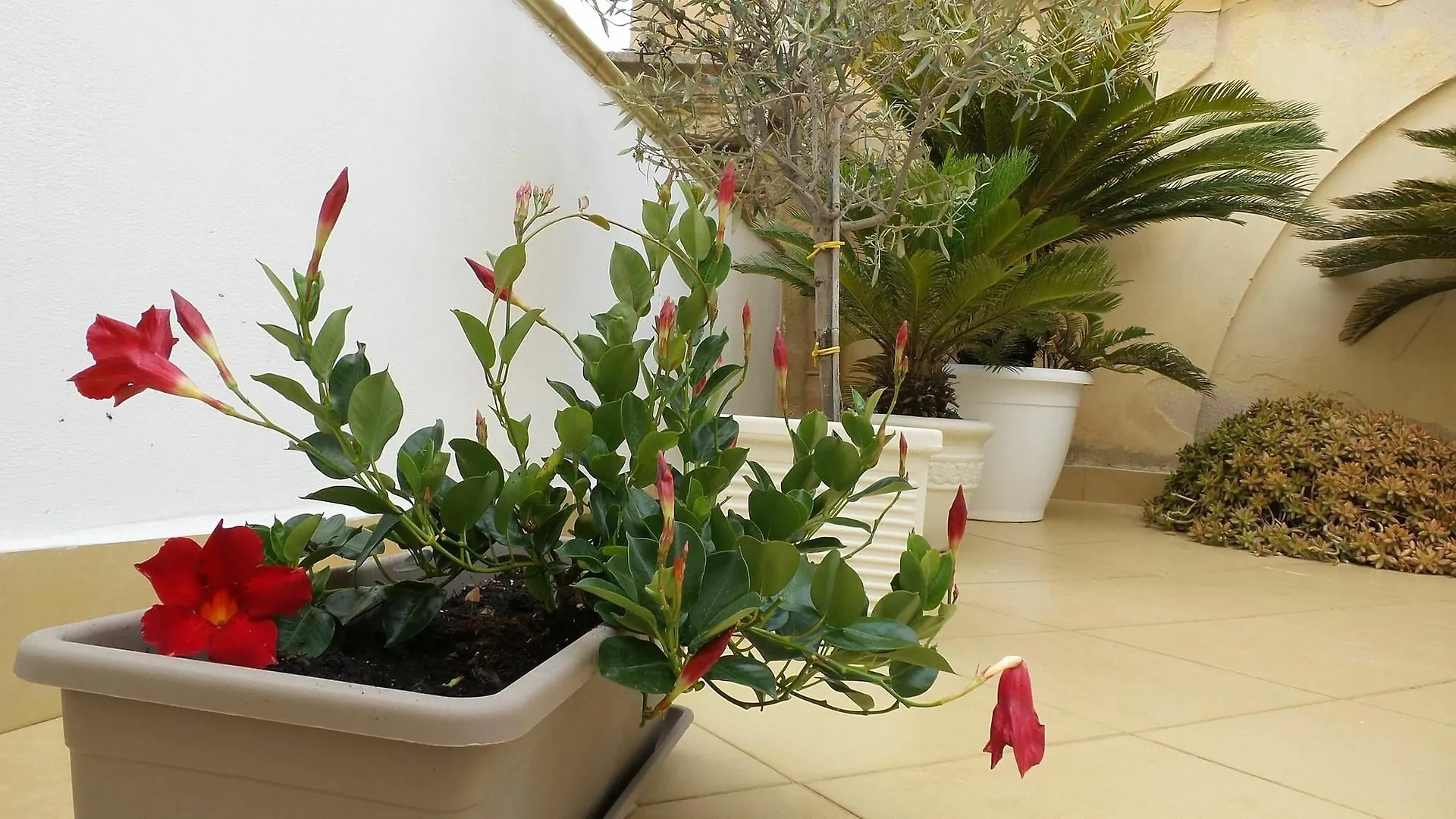 Apartment With One Bedroom In Marsala, With Wonderful City View, Furni Italien